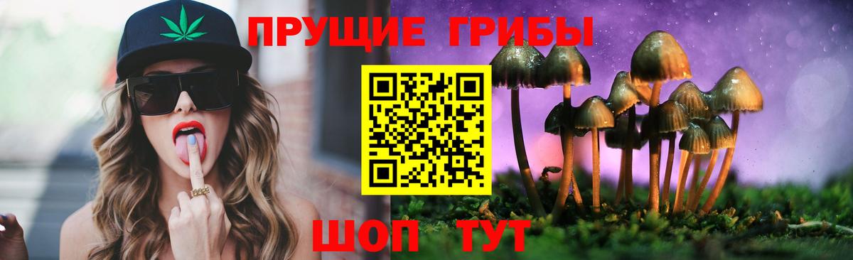 даркнет сайт  Псилоцибиновые грибы Psilocybe  Вход с VPN  Кингисепп 